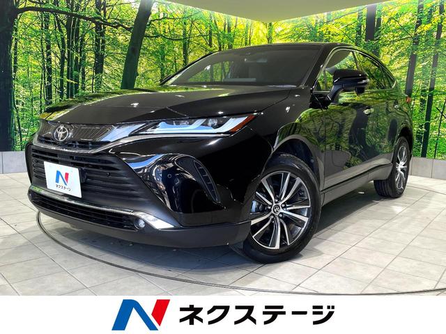 ȥ西 ϥꥢ ǡر֡ʣ£̥ɡʥ