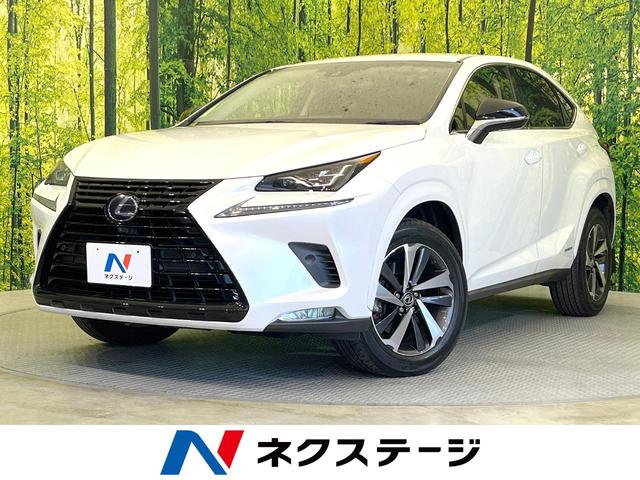 쥯 Σ Σأ֥å󥹡ϥ顡ﳲڸƥࡡ졼롼