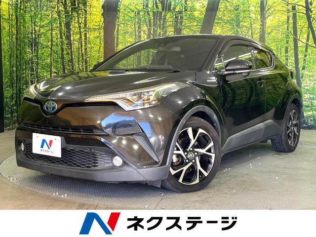 Ｃ－ＨＲ　愛知県 純正ナビ　ビルトインＥＴＣ　バックカメラ　レーダークルーズ　ＬＥＤライト