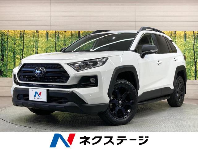 ＲＡＶ４　愛知県 純正１０型ＤＡ　全周囲カメラ　衝突被害軽減システム　レーダークルーズ