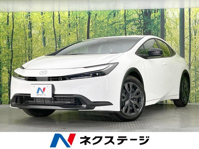 ȥ西 ץꥦ ءХå顡ﳲڸƥࡡ졼롼