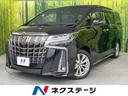 アルファード 埼玉県 後席モニター 純正9型ナビ付DA バックカメラ 両側電動スライドドア