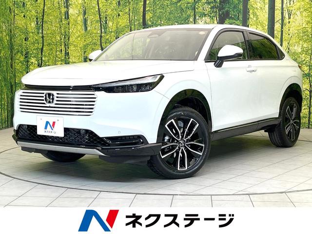 롡Ų ̥˥ۥ󥷥󥰡졼롼£ӣ͡ţԣ 1