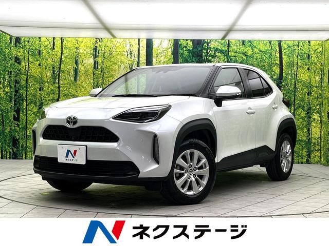 ȥ西 ꥹ ǡǥץ쥤ǥեƥ󥹡ϥ