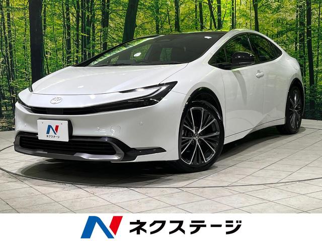 ȥ西 ץꥦ ڡ饹롼ա᡼ǥץ쥤ǥͷڸ