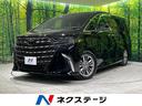 アルファードハイブリッド　長野県 全周囲カメラ　衝突軽減　両側パワスラ　Ｂｌｕｅｔｏｏｔｈ　ＥＴＣ