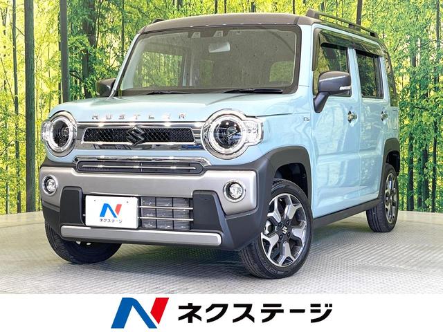 ϥ顼θ ﳲڸƥࡡر֡ģʡ󥵡ޡȥ 1