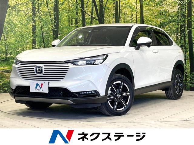 ۥ  塧ȣţ֡ءر֡ʥ