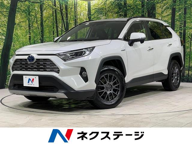 ＲＡＶ４　北海道 ４ＷＤ　純正ＳＤナビ　バックカメラ　寒冷地仕様　１００Ｖ電源
