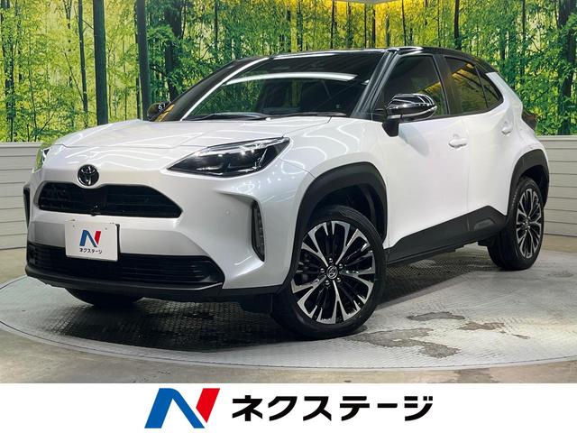 ꥹ츩 ϥ顡ﳲڸƥࡡ졼롼ر 1