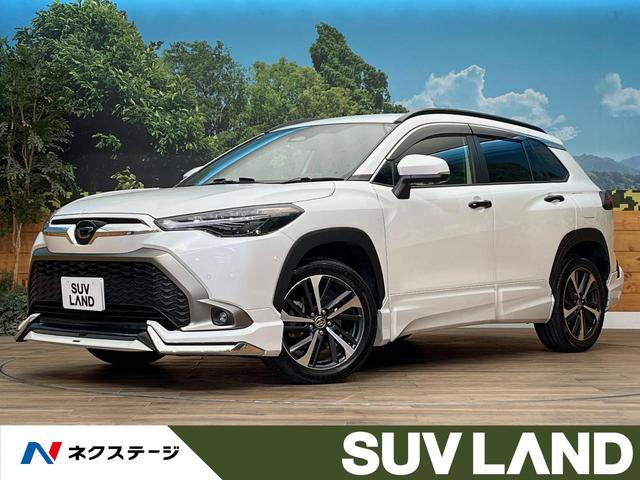 饯̳ƻ ǥꥹϥ顡ϻ͡졼롼ţԣ 1