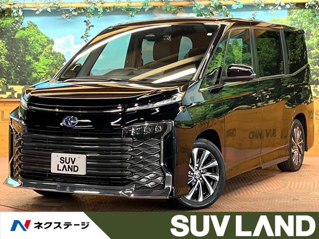  ر졡˥С륹ƥåסեåץ󡡽ʥӡţԣ 1