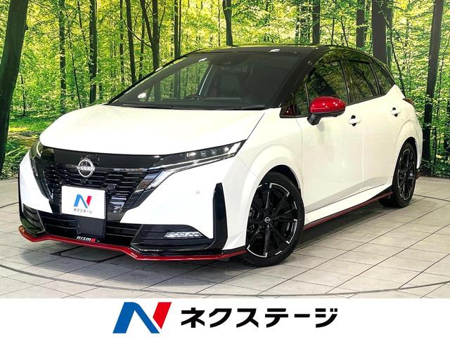   ˥⡡ե륨ϥ顡ﳲڸƥ