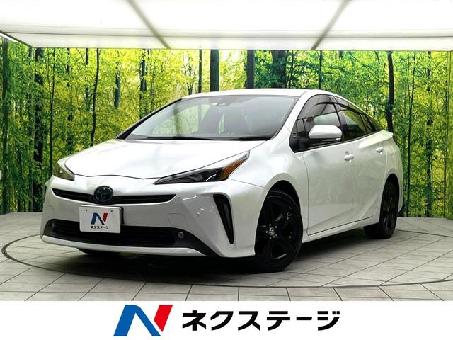 ȥ西 ץꥦ ӥġ󥰥쥯󡡥֥åǥ󡡥եƥ󥹡ǥץ쥤ǥ