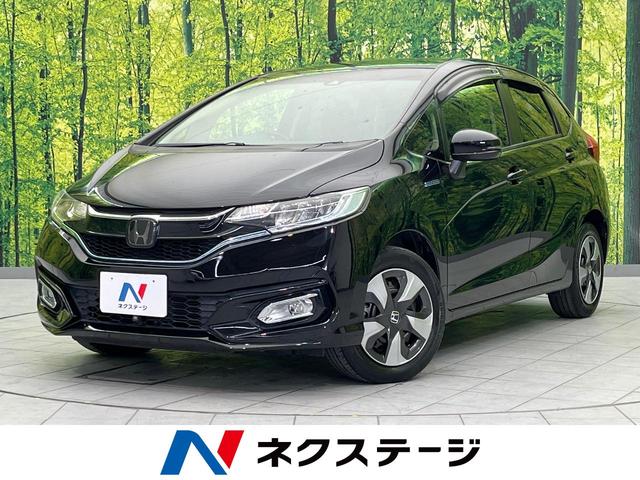 եåȥϥ֥åɡʡ Хå顡ͷڸ֡졼롼ر֡ϡե쥶 1