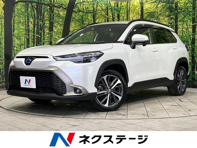 ȥ西 饯 ϥ֥åɡڡףġʥ