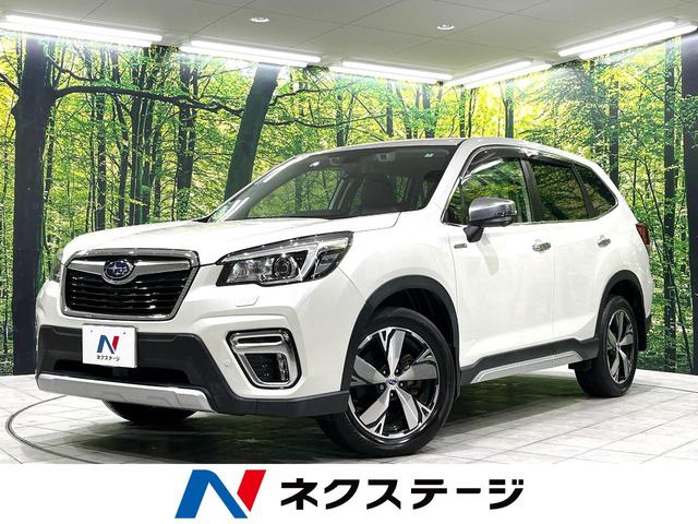 ե쥹긩 ϥ֥åɡӣĥʥӡХå顡ر֡ȥեƥ 1