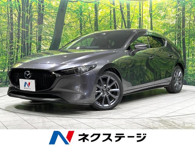 ޥĥ ͣڣģեȥХå ӥСǥ쥯󡡣£ϣӣťɡر