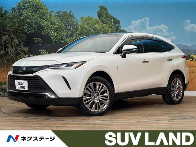 ϥꥢϥ֥åɡ̳ƻ ѥΥޥ롼աʣ£̥ɡϥ顡᡼ʥ 1