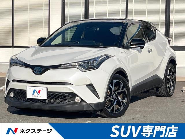 áݣȣҡʡ £ɣǡݣأӣĥʥӡХå顡եƥ󥹡졼륳 1