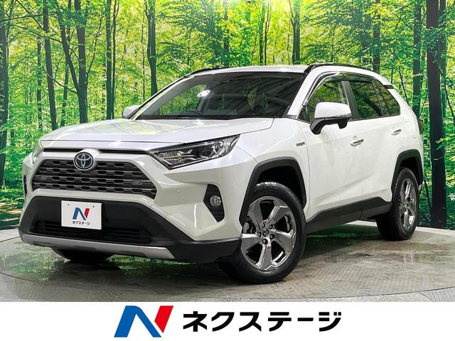 ＲＡＶ４　北海道 バックカメラ　セーフティセンス　ブラインドスポット　レーダークルーズ