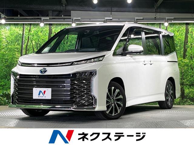  ʥӡեåץ˥ѥΥߥåӥ塼˥ 1