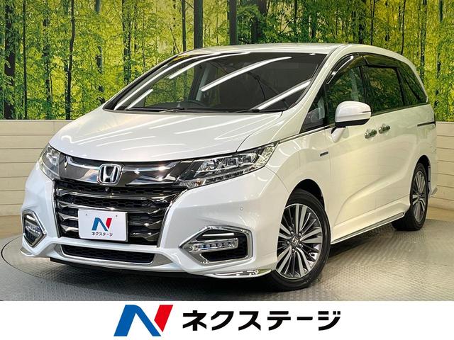 ۥ ǥåϥ֥å ϥ֥åɥ֥롼ȡţإۥ󥷥󥰡եåץ˥ۥ󥷥