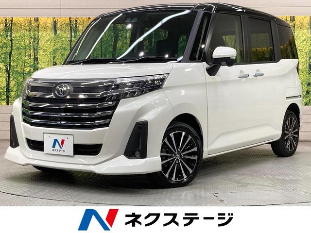 롼ߡθ ӣĥʥӡξ¦ưɥϥ顡ﳲڸƥ 1