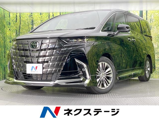 アルファード　愛知県 ガラスルーフ　モデリスタエアロ　両側電動ドア　後席モニター