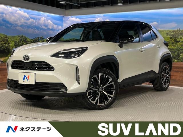 ꥹθ ϥ顡ﳲڸ졼롼ϡե쥶 1