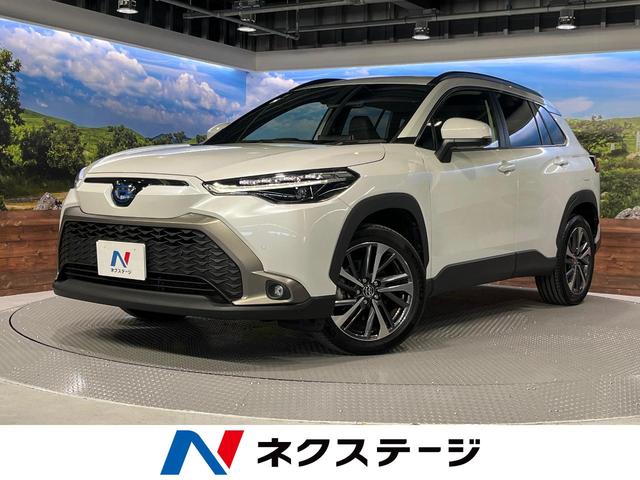 饯θ ϥ顡ͷڸ졼롼סţԣáȥҡ 1