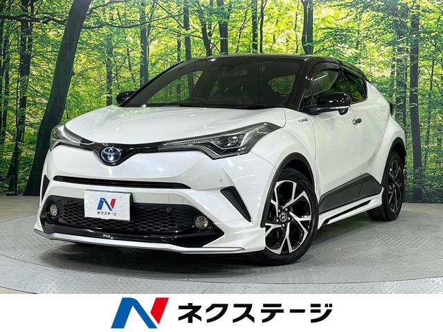 áݣȣҡո ե륨ӣĥʥӡХå顡ﳲڸƥࡡ졼 1