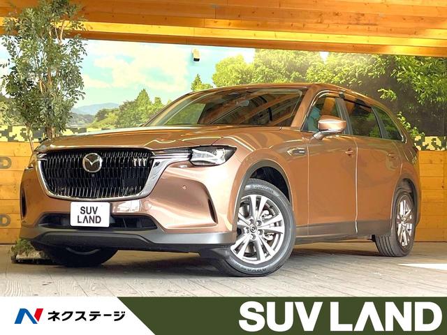 ãءݣʡ ޥĥͥȥʥӡϥ 1