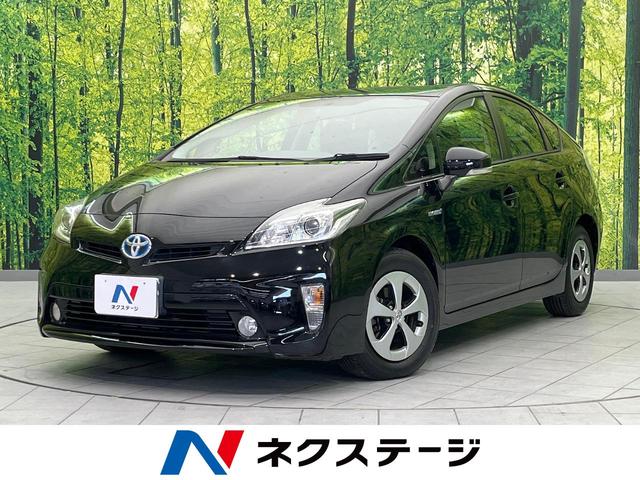 ȥ西 ץꥦ ӡر֡ʥӡХå