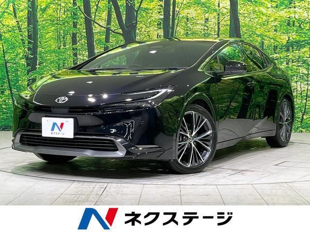 ȥ西 ץꥦ ڡ饹롼աϥ顡Ÿ