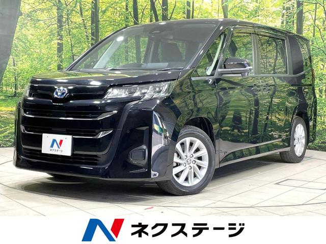 ȥ西 Υ ϥ֥åɣǡر֡ʥ˥ʥ