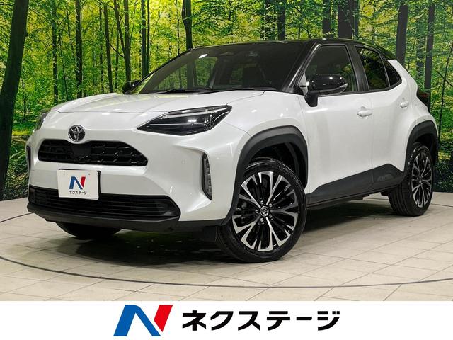 ꥹ ϥ顡ﳲڸƥࡡ졼롼ر 1