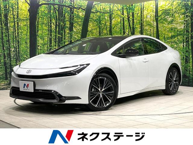 ȥ西 ץꥦ ڡ饹롼աϥ顡ﳲڸƥ