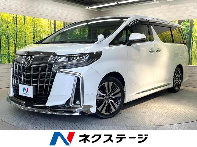 アルファード　栃木県 サンルーフ　フルエアロ　純正９型ディスプレイ　両側電動ドア　後席モニター