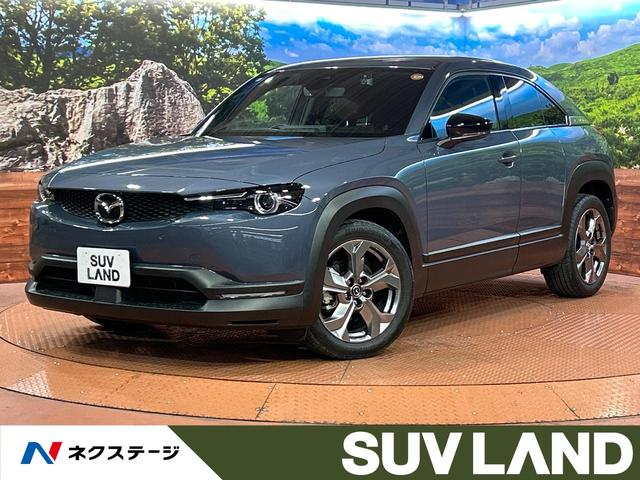 ͣءݣ ϥ顡ﳲڸƥࡡ졼롼ر 1