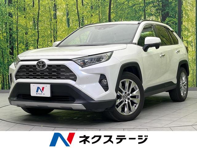 ＲＡＶ４　福岡県 バックカメラ　衝突警報装置　レーダークルーズコントロール　禁煙車