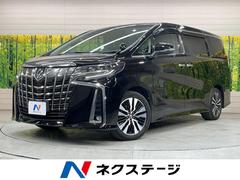 �ȥ西������ե����ɡ��������ӡ��åѥå����������������ģ������ʥ�˥���