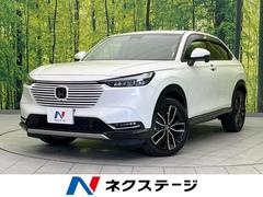 �ۥ�����������롡�塧�ȣţ֡��ڡ�������������ʥӡ������ϥ����