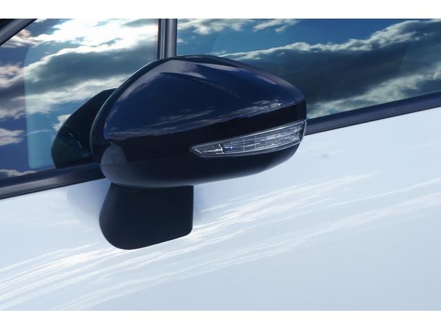 �u���C���h�X�|�b�g���j�^�[�t�̃h�A�~���[�B