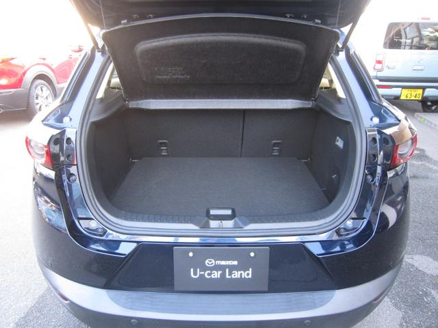 ＣＸ－３ ＸＤ　エクスクルーシブモッズ（8枚目）