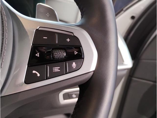 X7 xDrive 40d Mスポーツ ワンオーナー スカイラウンジパノラマサンルーフ 保温保冷カップホルダー アクティブクルーズコントロール ベンチレーションシート 全方位カメラ 衝突被害軽減ブレーキ(64枚目)