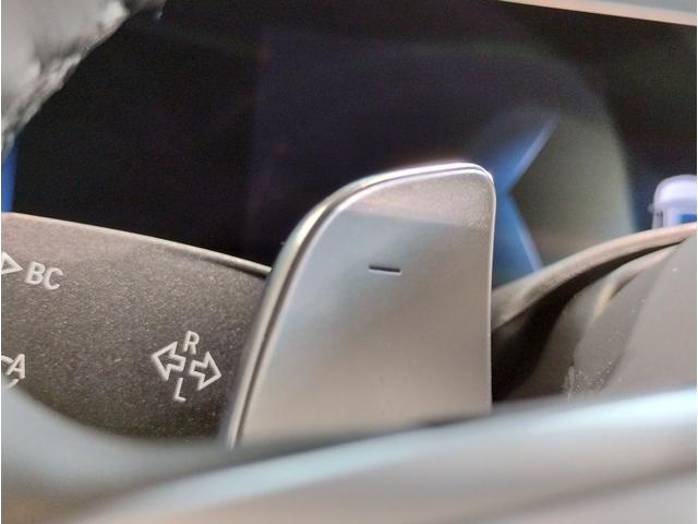 X7 xDrive 40d Mスポーツ ワンオーナー スカイラウンジパノラマサンルーフ 保温保冷カップホルダー アクティブクルーズコントロール ベンチレーションシート 全方位カメラ 衝突被害軽減ブレーキ(67枚目)