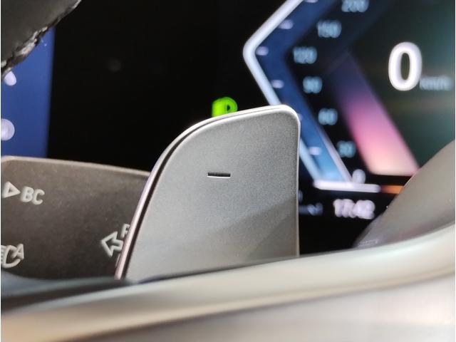 ３シリーズ ３２０ｄ　ｘＤｒｉｖｅツーリング　Ｍスポーツ　インディビジュアルフィオナレッドレザー　ファストトラックＰＫＧ　コンフォートＰＫＧ　１９インチＡＷ　Ｍサスペンション　Ｍスポーツブレーキ　ＨｉＦｉスピーカー　ヘッドアップディスプレイ　元レンタカー（66枚目）