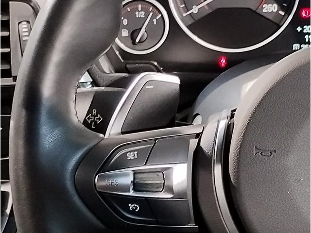 3シリーズ 320i Mスポーツ ワンオーナー車 クルーズコントロール パドルシフト 電動シート バックカメラ PDCセンサー 衝突軽減ブレーキ 純正18インチAW LEDヘッドライト Bluetoothオーディオ 車線逸脱警告(13枚目)