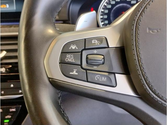 5シリーズ 530i Mスポーツ ヘッドアップディスプレイ ブラックキドニーグリル ブラックレザーシート シートヒーター 全周囲カメラ アクティブクルーズコントロール 19インチAWホイール パドルシフト 電動シート 電動リアゲート(60枚目)